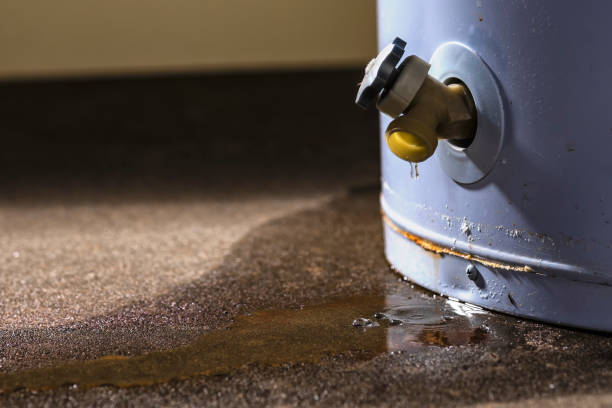 Best Flood restoration services  in Pinardville, NH