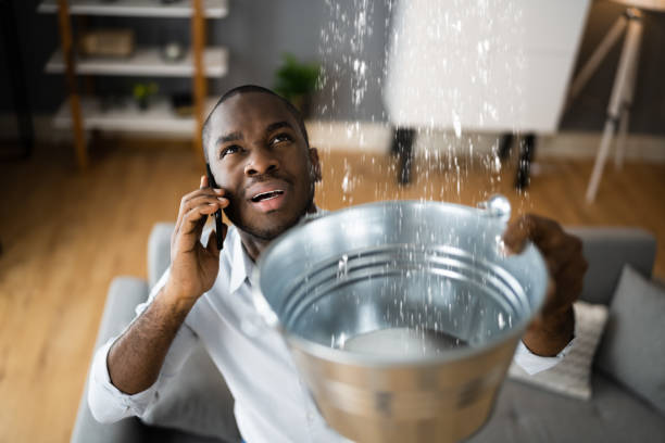 Best Mold removal after water damage  in Pinardville, NH