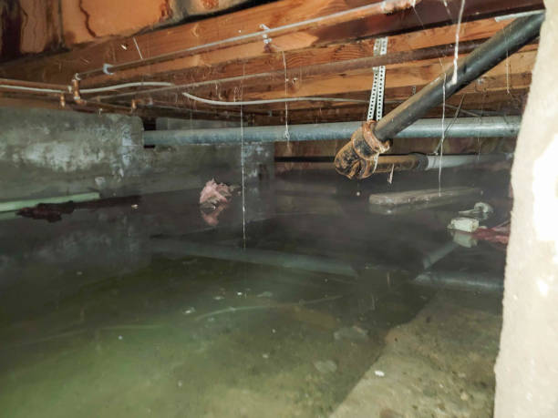 Water damage restoration experts in Pinardville, NH