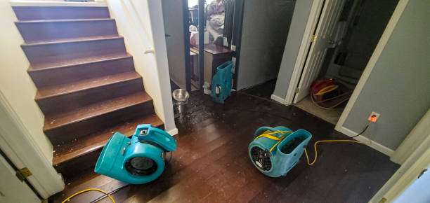 Best Water damage mitigation services  in Pinardville, NH