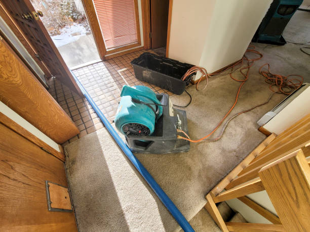 Best Fire Damage Restoration  in Pinardville, NH