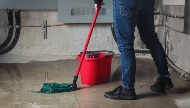 Best Carpet water damage restoration  in Pinardville, NH