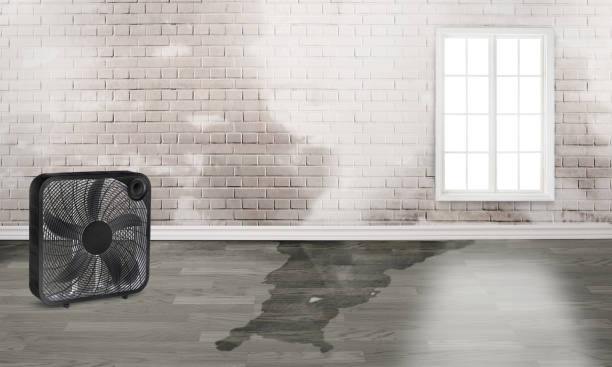 Best Water damage restoration mold remediation  in Pinardville, NH