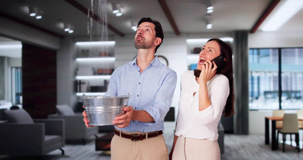 Best Commercial water damage restoration  in Pinardville, NH